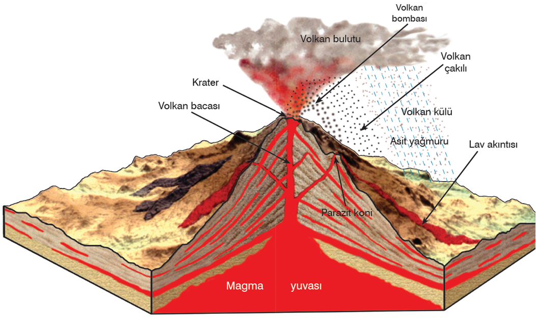 Yüzey Volkanizması Türleri